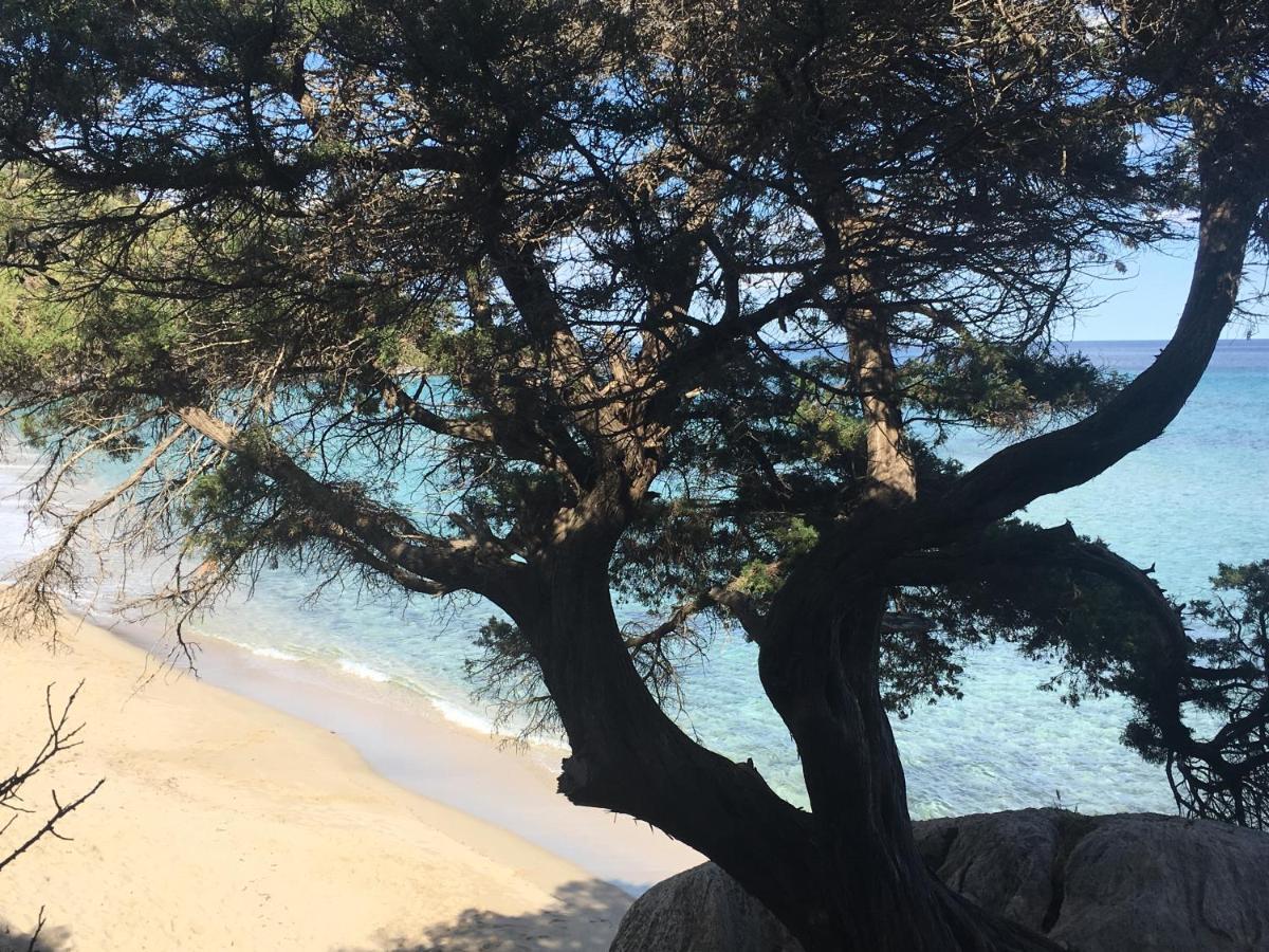 Casa M&M Daire Cala Gonone Dış mekan fotoğraf